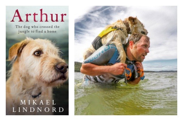 arthur the adventure racing stray now a published author
