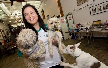 Awesome Perks of The Dog Cafe Include Coffee and Adoptable Canines