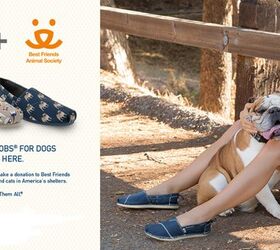 Skechers' Cool Kicks Give Friends Animal Society a Foot Up | PetGuide
