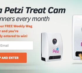 Enter To Win a Petzi Treat Cam