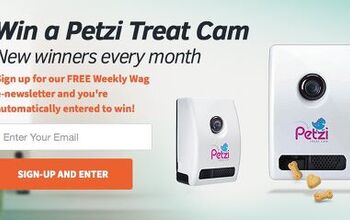 Enter To Win a Petzi Treat Cam