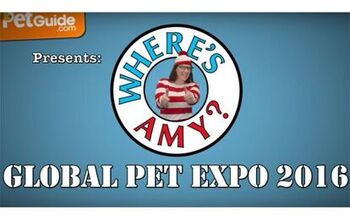 Top 10 Things I’d Like to Steal From Global Pet Expo 2016 [Video]