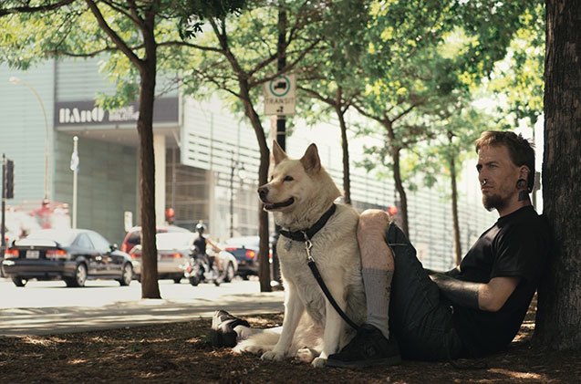 a dog s life explores the relationship between dogs and the homeless