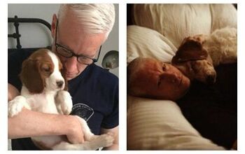 Anderson Cooper is a Proud New Papa to Puppy Lilly