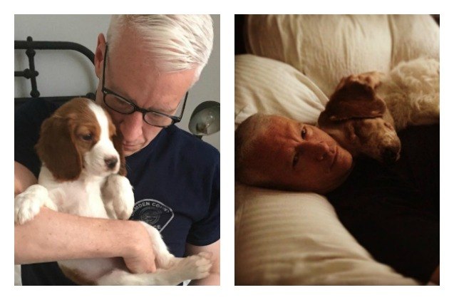 anderson cooper is a proud new papa to puppy lilly