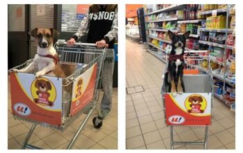 Italian Grocer Introduces Dog-Friendly Shopping Carts