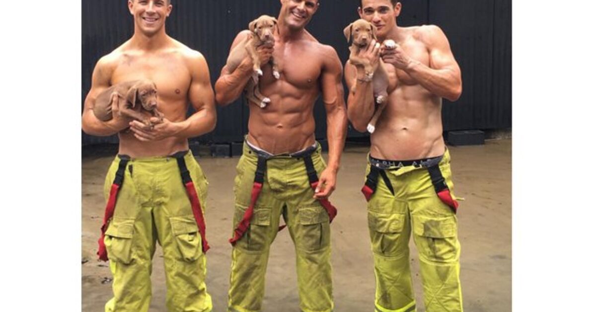 Smoking Hot Australian Firefighters Calendar… Now With Puppies! PetGuide