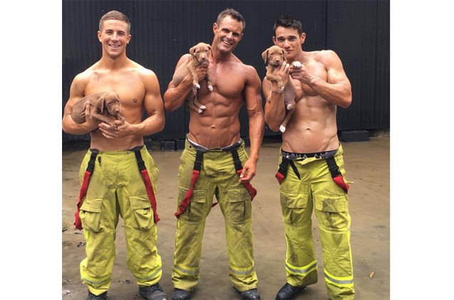 Smoking Hot Australian Firefighters Calendar Now With Puppies PetGuide smoking-hot-australian-firefighters-calendar-now-with-puppies-petguide