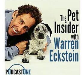Dog Expert Warren Eckstein Launches  “The Pet Insider” Podcast