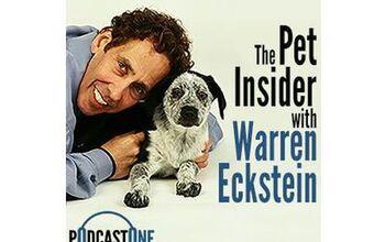 Dog Expert Warren Eckstein Launches  “The Pet Insider” Podcast