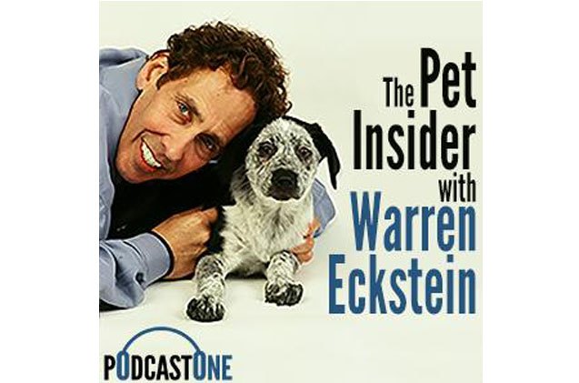dog expert warren eckstein launches the pet insider podcast