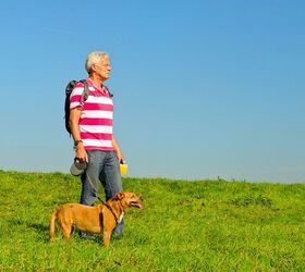 Study: Seniors Who Walk Their Dogs Enjoy Better Physical Health