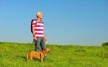 Study: Seniors Who Walk Their Dogs Enjoy Better Physical Health