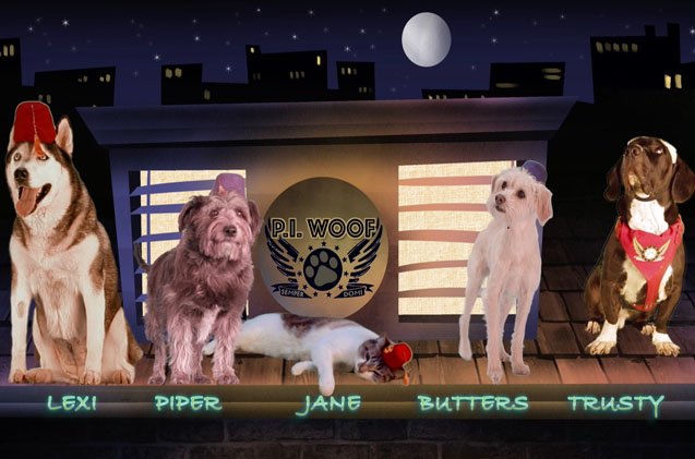 shelter pets star in p i woof smellbound film adventure