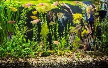 Tips for Keeping Your Aquarium Water Quality High