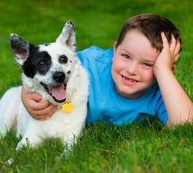 Top 7 Reasons Why Your Kid Needs a Pet