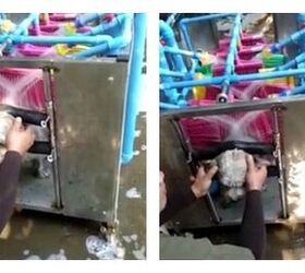 good or bad idea the worlds first automatic dog washing machine