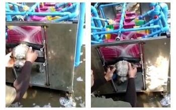 Good or Bad Idea: The World’s First Automatic Dog Washing Machine