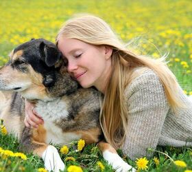 Study: Hugging Your Dog Stresses Him Out