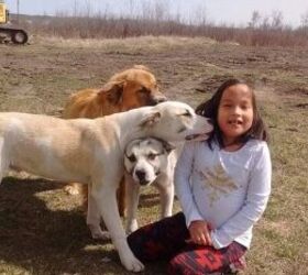Young Girl Saved By Her 3 Dogs During Freezing Night in Woods