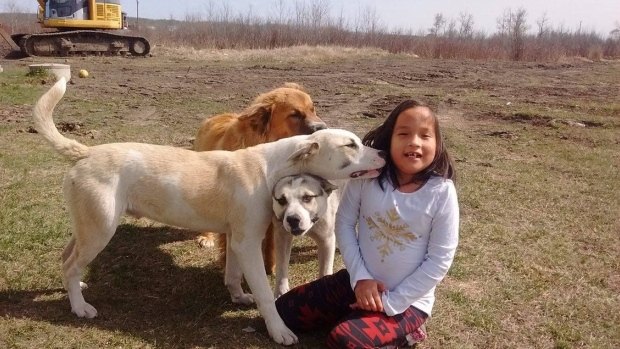 young girl saved by her 3 dogs during freezing night in woods