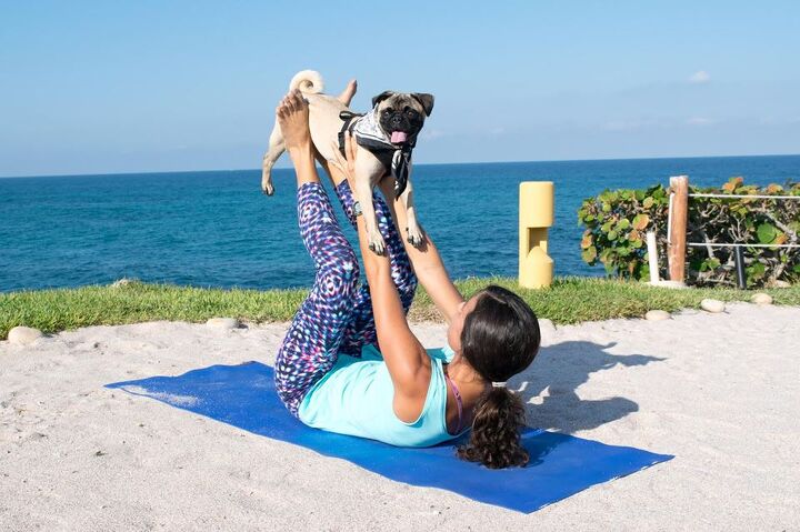 dog friendly tropical trips await in mexico