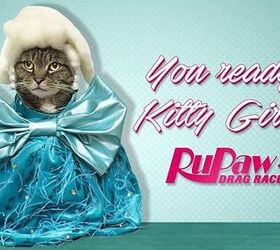 Kitty That Walk! The Claws Come Out at RuPaw’s Drag Race