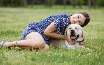 Study: Happy Pet Thoughts Help Soothe Social Rejection