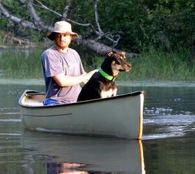 5 Reasons to Consider Canoeing With Your Canine