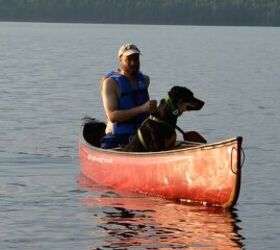 5 reasons to consider canoeing with your canine