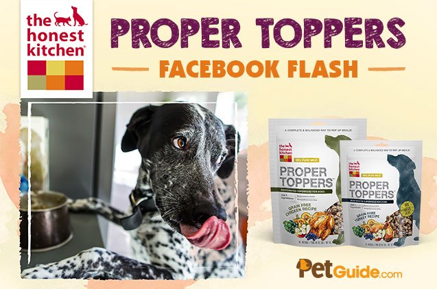 honest kitchen s proper toppers facebook flash contest