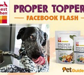 Honest Kitchen’s Proper Toppers Facebook Flash Contest