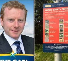 Irish Councillor Slammed on Social Media For “Dangerous Breeds” Po