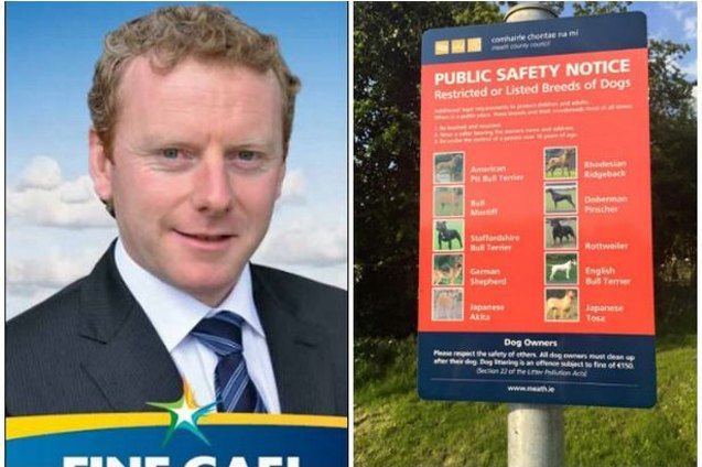 irish councillor slammed on social media for dangerous breeds post