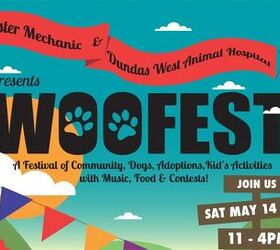 hip pooches and parents are invited to woofest