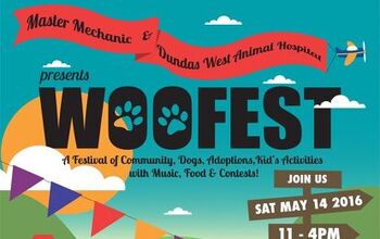 Hip Pooches and Parents Are Invited to WooFest!