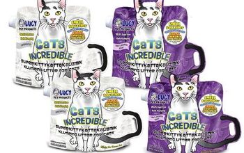 Cat Incredible Kitty Litter Helps Fund Mobile Spay &#038; Neuter Clini