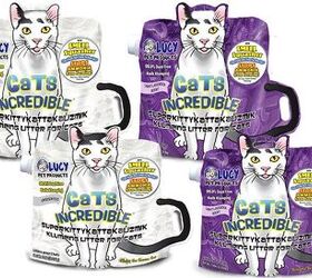 Cat Incredible Kitty Litter Helps Fund Mobile Spay & Neuter Clini