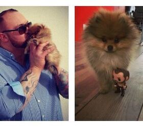 Game Of Thrones “The Mountain” Loves His Tiny Pomeranian