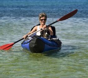 Doggy Paddling: How to Kayak With Your Dog