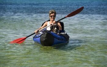 Doggy Paddling: How to Kayak With Your Dog