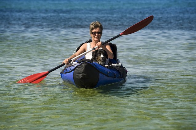 doggy paddling how to kayak with your dog