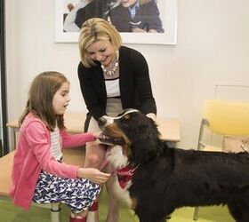 Hospital Builds Room Where Patients Can Play With Their Pets
