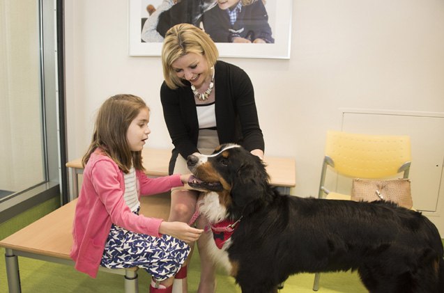 hospital builds room where patients can play with their pets