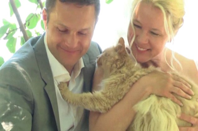 couple says i do to 1 000 feline wedding guests