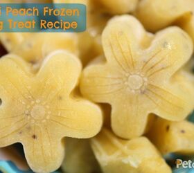 Kiwi Peach Frozen Dog Treat Recipe