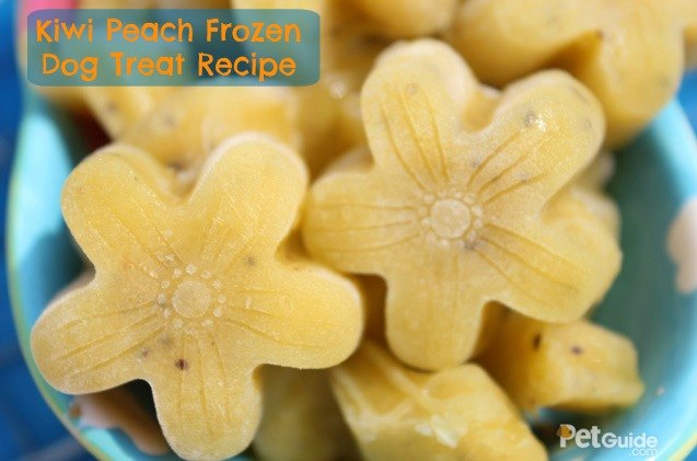 kiwi peach frozen dog treat recipe