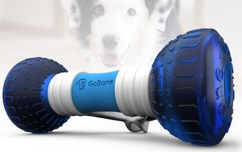 Play With Your Dog From Anywhere With the GoBone Remote Control Toy
