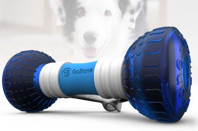 play with your dog from anywhere with the gobone remote control toy