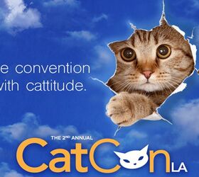 cat nerds rejoice catconla is back and more cat tastic than ever